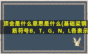 顶会是什么意思是什么(基础梁钢筋符号B，T，G，N，L各表示什么意思)