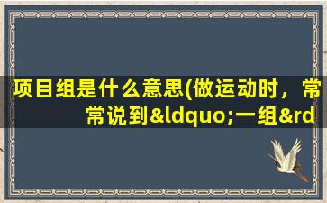 项目组是什么意思(做运动时，常常说到“一组”或“4组”，这到底是什么组到底是什么意思)