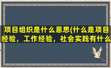 项目组织是什么意思(什么是项目经验，工作经验，社会实践有什么区别)