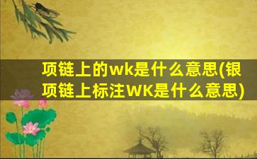 项链上的wk是什么意思(银项链上标注WK是什么意思)