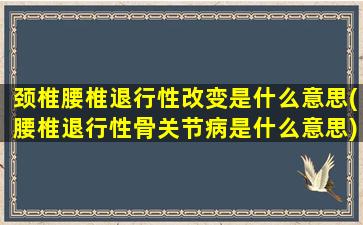 颈椎腰椎退行性改变是什么意思(腰椎退行性骨关节病是什么意思)