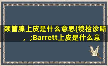 颈管腺上皮是什么意思(镜检诊断，;Barrett上皮是什么意思)