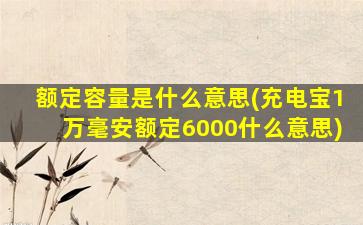 额定容量是什么意思(充电宝1万毫安额定6000什么意思)