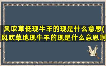 风吹草低现牛羊的现是什么意思(风吹草地现牛羊的现是什么意思啊)