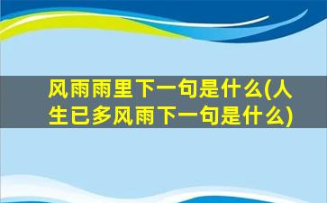 风雨雨里下一句是什么(人生已多风雨下一句是什么)