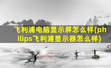 飞利浦电脑显示屏怎么样(philips飞利浦显示器怎么样)