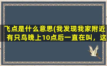 飞点是什么意思(我发现我家附近有只鸟晚上10点后一直在叫，这是为什么)