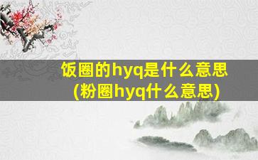 饭圈的hyq是什么意思(粉圈hyq什么意思)