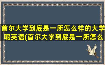 首尔大学到底是一所怎么样的大学呢英语(首尔大学到底是一所怎么样的大学呢英文)