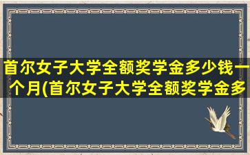 首尔女子大学全额奖学金多少钱一个月(首尔女子大学全额奖学金多少钱啊)