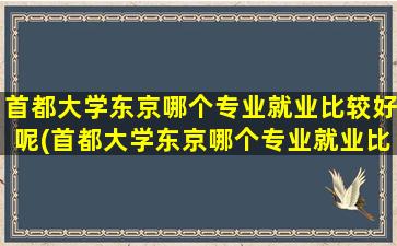 首都大学东京哪个专业就业比较好呢(首都大学东京哪个专业就业比较好点)