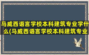 马威西语言学校本科建筑专业学什么(马威西语言学校本科建筑专业有哪些)