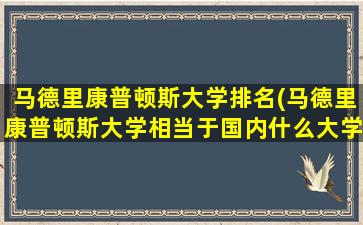 马德里康普顿斯大学排名(马德里康普顿斯大学相当于国内什么大学)