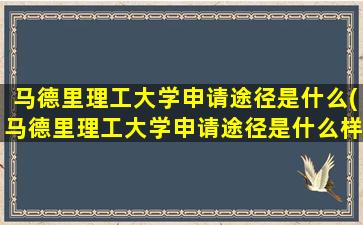 马德里理工大学申请途径是什么(马德里理工大学申请途径是什么样的)