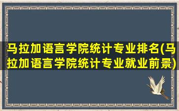 马拉加语言学院统计专业排名(马拉加语言学院统计专业就业前景)