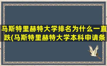 马斯特里赫特大学排名为什么一直跌(马斯特里赫特大学本科申请条件)