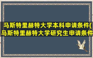 马斯特里赫特大学本科申请条件(马斯特里赫特大学研究生申请条件)