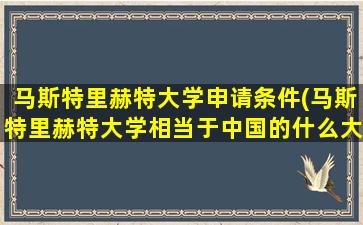 马斯特里赫特大学申请条件(马斯特里赫特大学相当于中国的什么大学)