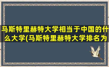 马斯特里赫特大学相当于中国的什么大学(马斯特里赫特大学排名为什么一直跌)