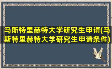 马斯特里赫特大学研究生申请(马斯特里赫特大学研究生申请条件)