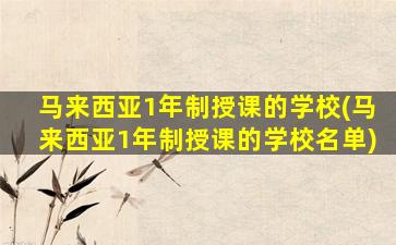 马来西亚1年制授课的学校(马来西亚1年制授课的学校名单)