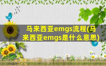 马来西亚emgs流程(马来西亚emgs是什么意思)