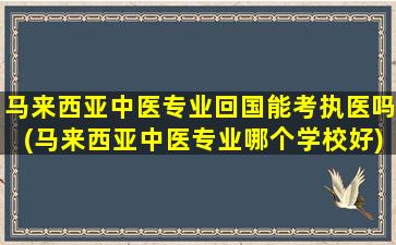 马来西亚中医专业回国能考执医吗(马来西亚中医专业哪个学校好)