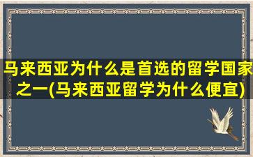 马来西亚为什么是首选的留学国家之一(马来西亚留学为什么便宜)