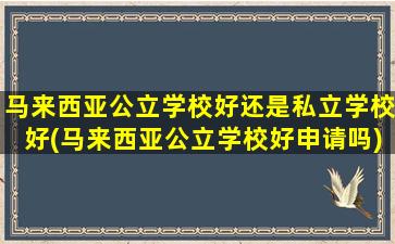 马来西亚公立学校好还是私立学校好(马来西亚公立学校好申请吗)