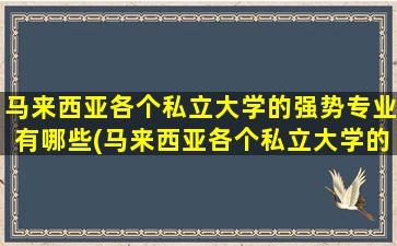 马来西亚各个私立大学的强势专业有哪些(马来西亚各个私立大学的强势专业)