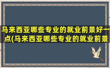 马来西亚哪些专业的就业前景好一点(马来西亚哪些专业的就业前景好点)