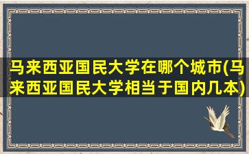 马来西亚国民大学在哪个城市(马来西亚国民大学相当于国内几本)