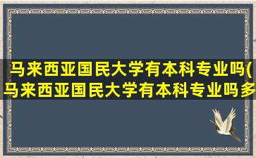 马来西亚国民大学有本科专业吗(马来西亚国民大学有本科专业吗多少分)