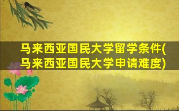 马来西亚国民大学留学条件(马来西亚国民大学申请难度)