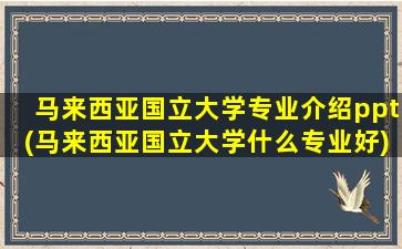 马来西亚国立大学专业介绍ppt(马来西亚国立大学什么专业好)