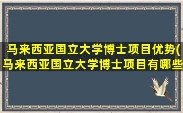 马来西亚国立大学博士项目优势(马来西亚国立大学博士项目有哪些)