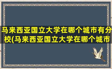 马来西亚国立大学在哪个城市有分校(马来西亚国立大学在哪个城市就读)