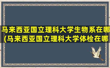 马来西亚国立理科大学生物系在哪(马来西亚国立理科大学体检在哪)