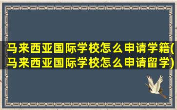 马来西亚国际学校怎么申请学籍(马来西亚国际学校怎么申请留学)