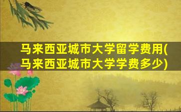 马来西亚城市大学留学费用(马来西亚城市大学学费多少)