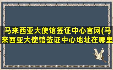 马来西亚大使馆签证中心官网(马来西亚大使馆签证中心地址在哪里)