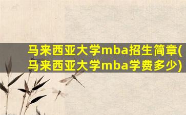 马来西亚大学mba招生简章(马来西亚大学mba学费多少)