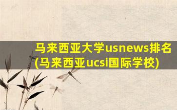 马来西亚大学usnews排名(马来西亚ucsi国际学校)