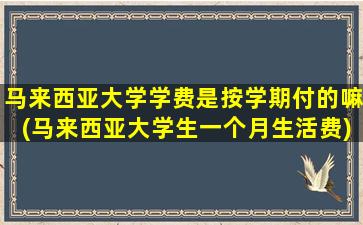 马来西亚大学学费是按学期付的嘛(马来西亚大学生一个月生活费)