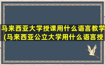 马来西亚大学授课用什么语言教学(马来西亚公立大学用什么语言授课)