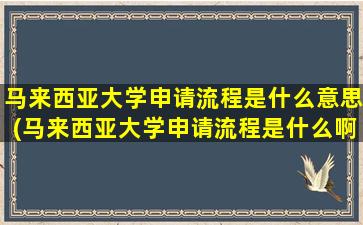 马来西亚大学申请流程是什么意思(马来西亚大学申请流程是什么啊)