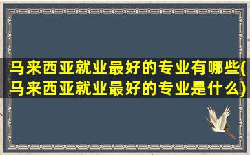 马来西亚就业最好的专业有哪些(马来西亚就业最好的专业是什么)