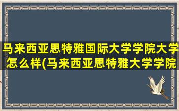 马来西亚思特雅国际大学学院大学怎么样(马来西亚思特雅大学学院大学)