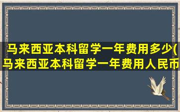 马来西亚本科留学一年费用多少(马来西亚本科留学一年费用人民币)