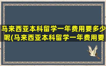 马来西亚本科留学一年费用要多少呢(马来西亚本科留学一年费用要多少呢英语)